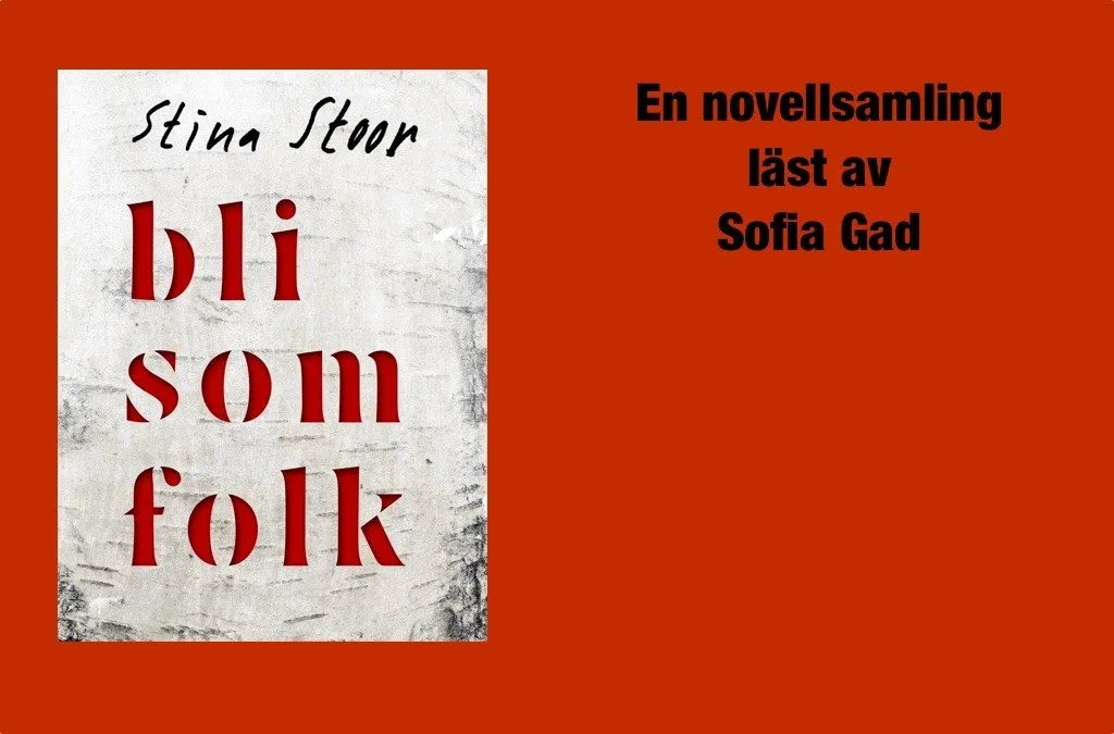 Bli som folk av Stina Stoor