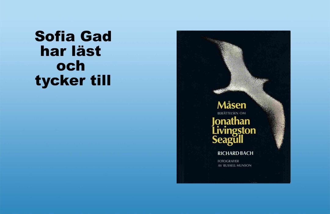Måsen: Berättelsen om Jonathan Livingston Seagull