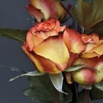 Skriv en berättelse om kärlek utan adjektiv och adverb