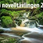Näcken och homofoben av Dan Andersson