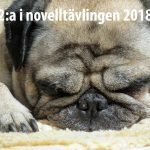 Sebastians sommar av Tobias Haglund