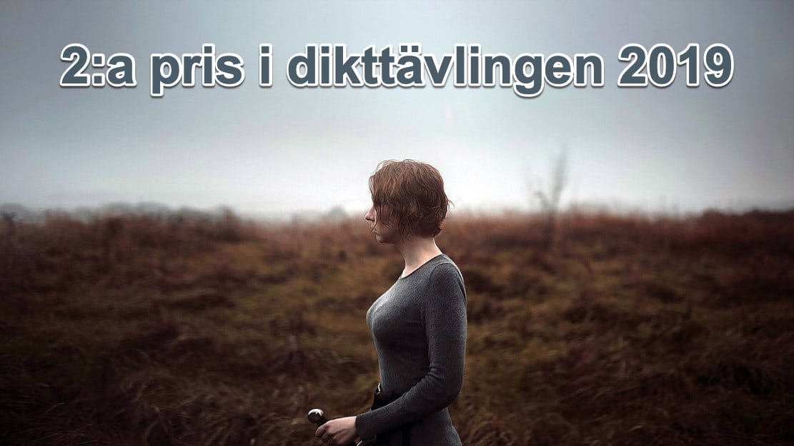 Sköldmön 2:a i dikttävlingen 2019