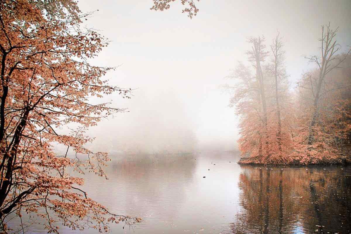 Skriv en novembertanka