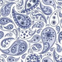 Paisley Pattern