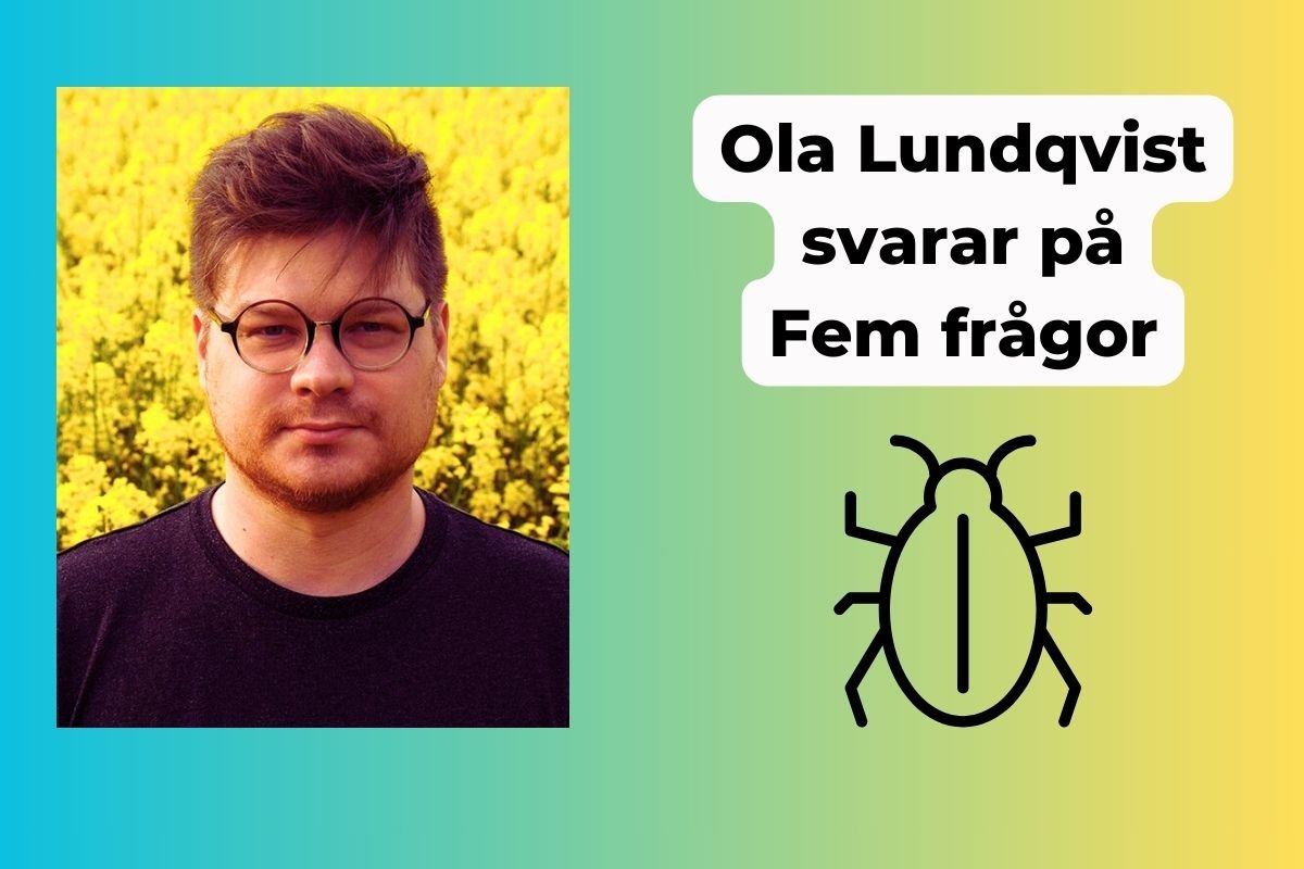 Ola Lundqvist Fem frågor 
