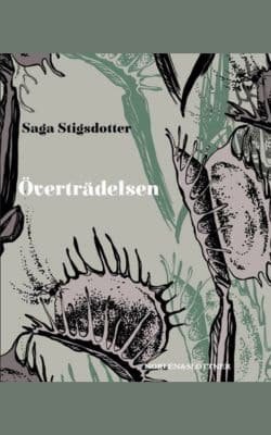 Överträdelsen omslag