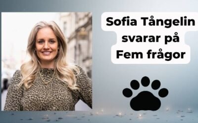 Sofia Tångelin