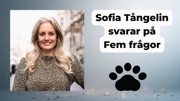 Sofia Tångelin