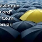 Novelltävlingen ”100 ord”