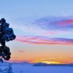 Skriv en januaridikt