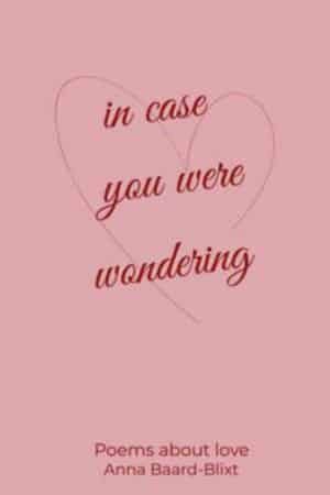 In case you were wondering omslag