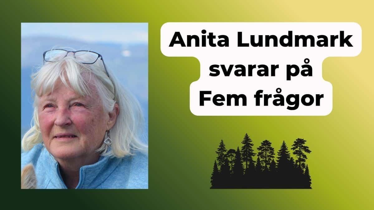 Anita Lundmark